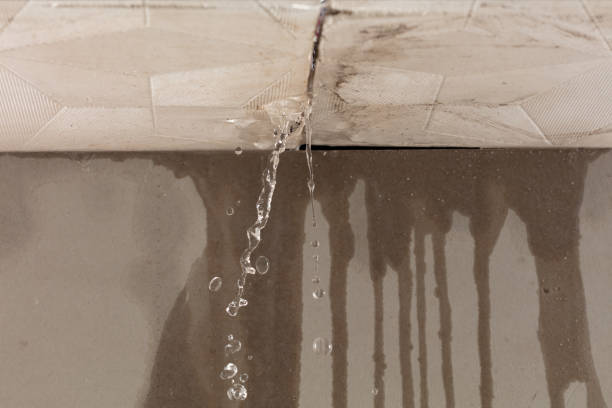 Professional Burst Pipe Cleanup technician working in Gordo, AL